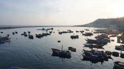 Niềm vui ngày "mở biển"