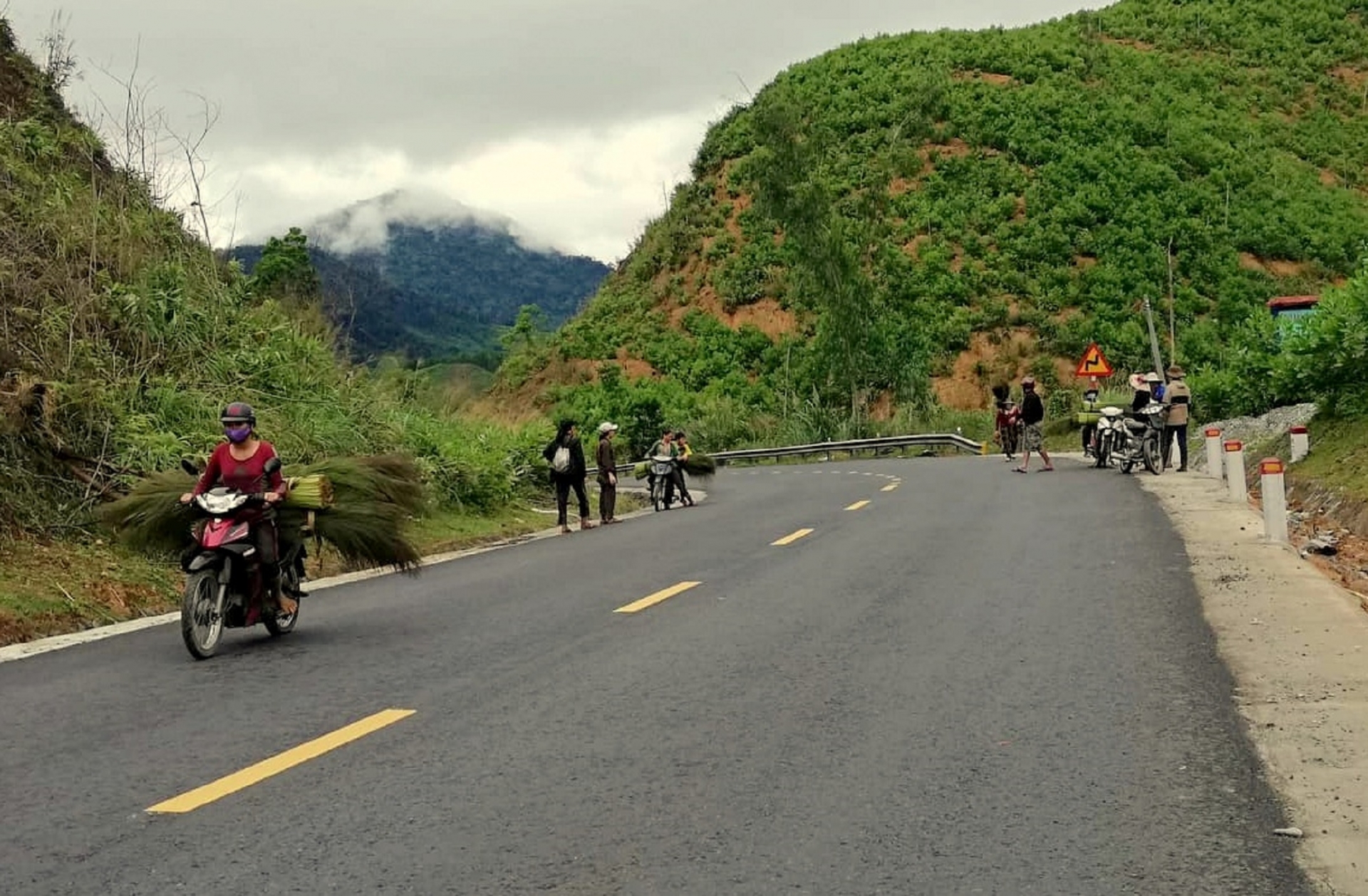 chit dot loc rung dau xuan o xu quang