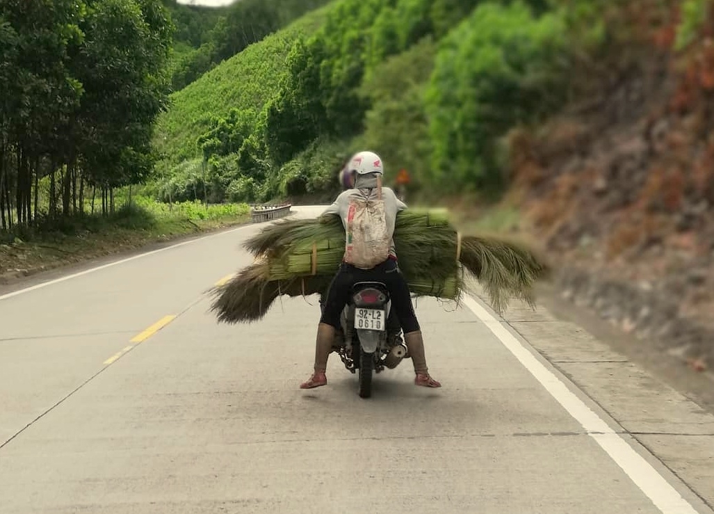 chit dot loc rung dau xuan o xu quang