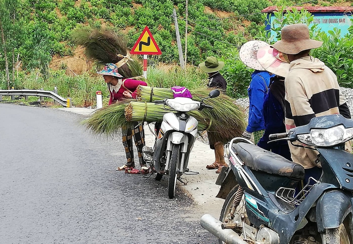 chit dot loc rung dau xuan o xu quang