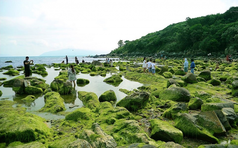 Đẹp ngỡ ngàng mùa rêu đá cuối đông