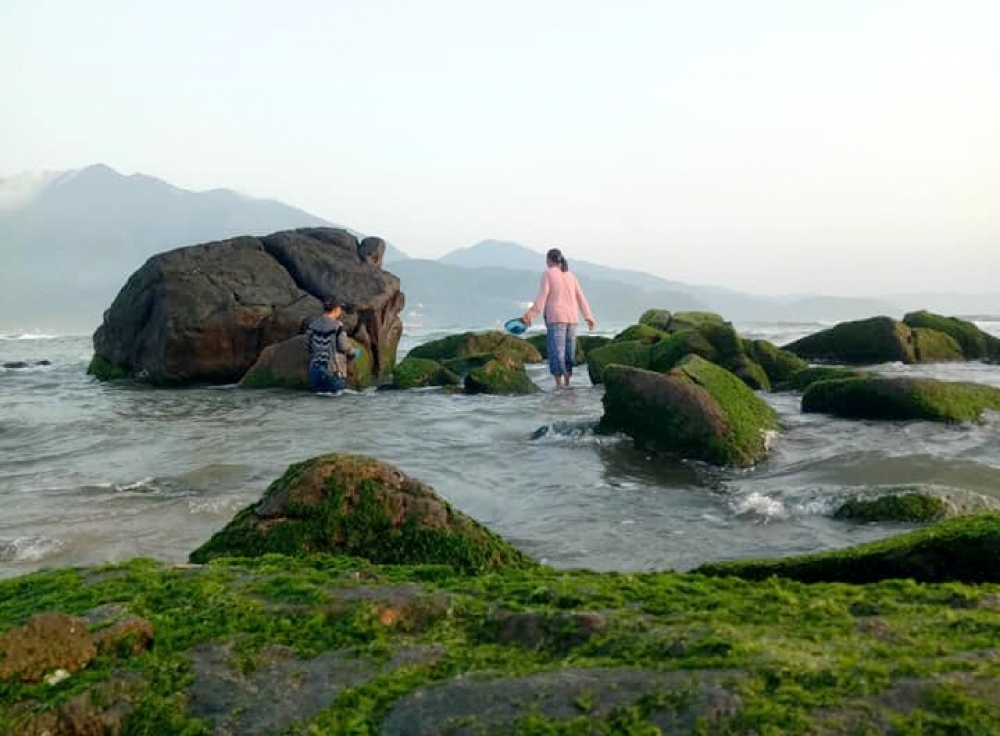Đẹp ngỡ ngàng mùa rêu đá cuối đông