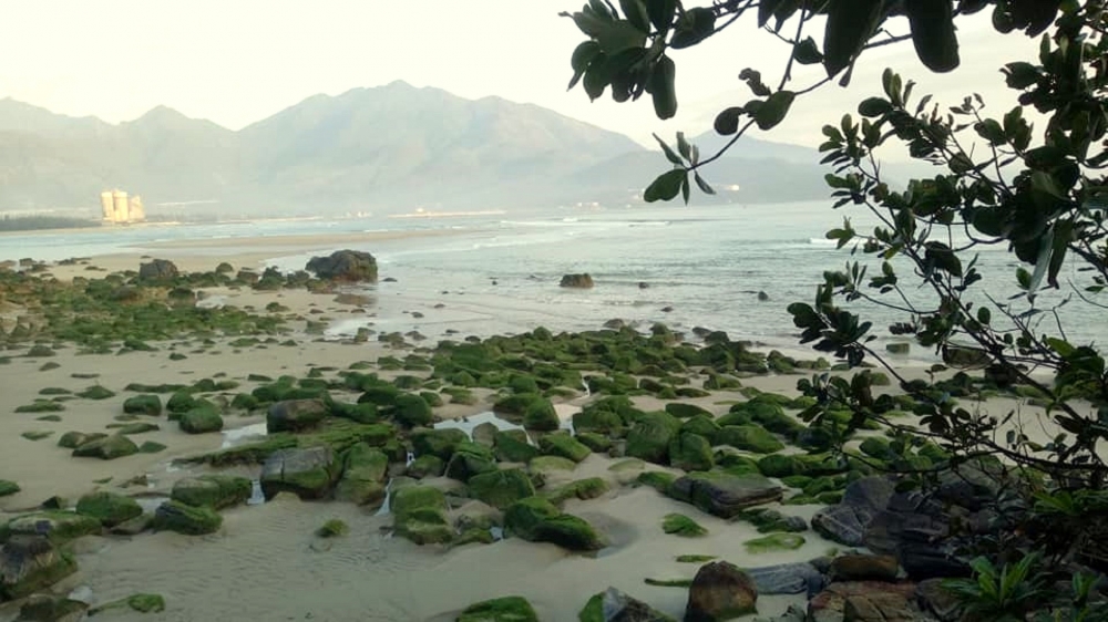 Đẹp ngỡ ngàng mùa rêu đá cuối đông