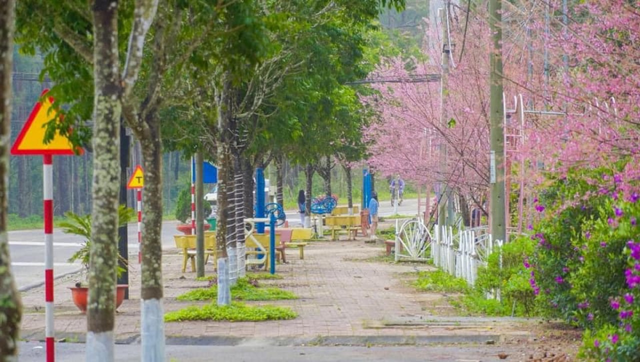 Màu đào phai trong mưa gió Đăk Ke