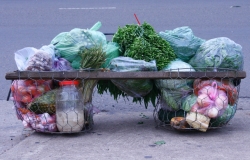 chuyen thoat ngheo cua anh chang nguoi hmong noi vung bien