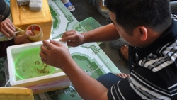 nghe san tom hum giong kiem bac trieungay cua ngu dan mien trung