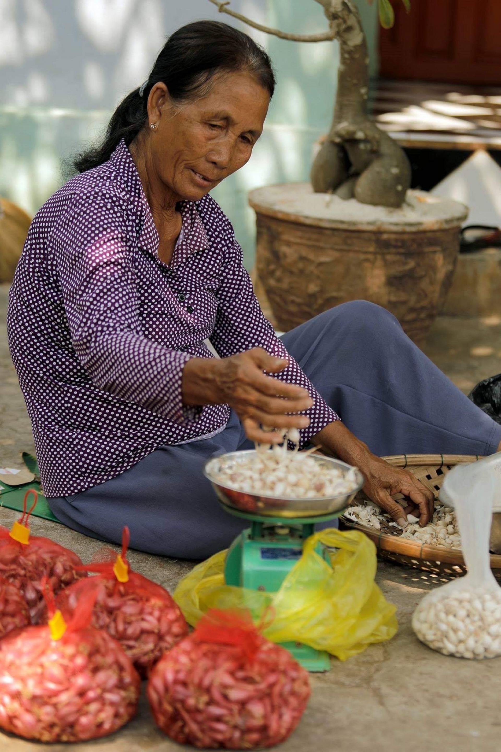 doc dao phien cho o dao toi