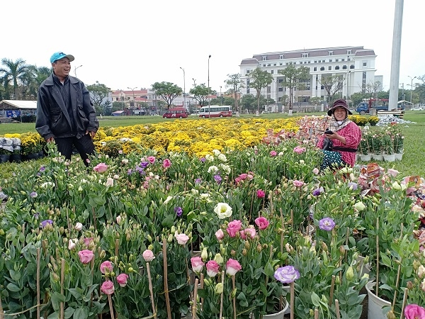 Hoa cảnh Tết ở Đà Nẵng vắng người mua Hoa cảnh Tết ở Đà Nẵng vắng người mua