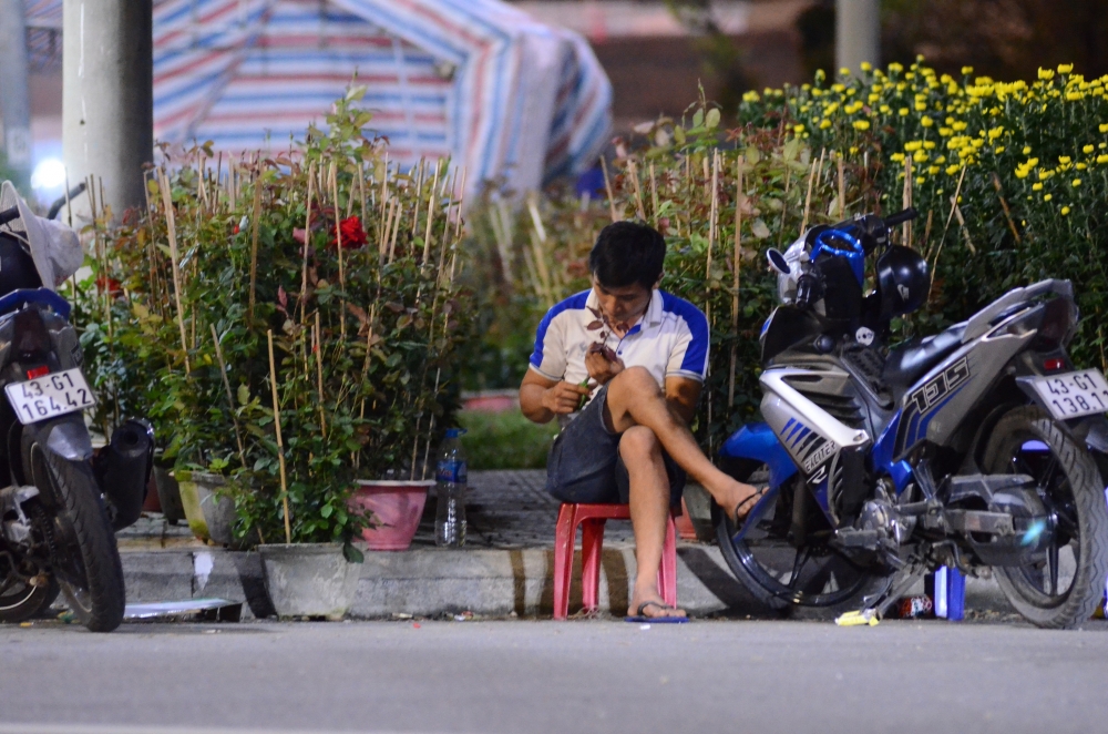Hoa cảnh Tết ở Đà Nẵng vắng người mua Hoa cảnh Tết ở Đà Nẵng vắng người mua