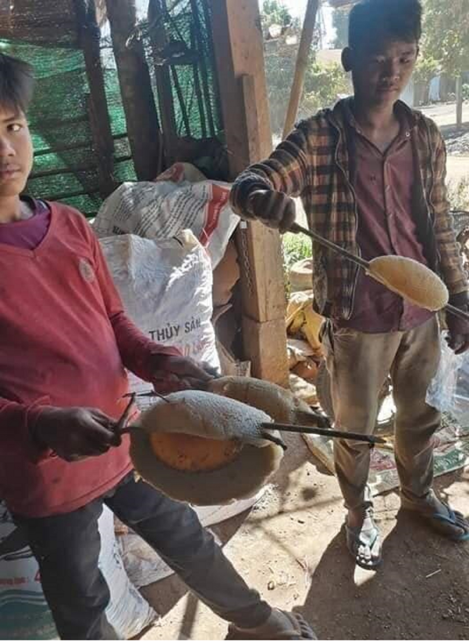 mua ong ruoi o dai ngan xanh