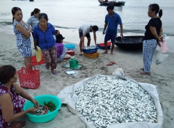 muoi duoc mua diem dan van khon don