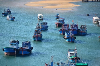 Niềm vui những chuyến đi 