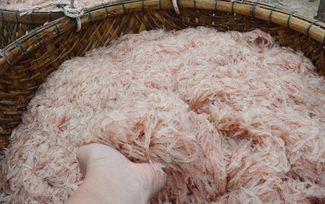 Vào mùa ruốc biển, ngư dân Đà Nẵng phấn khởi vì giá cao