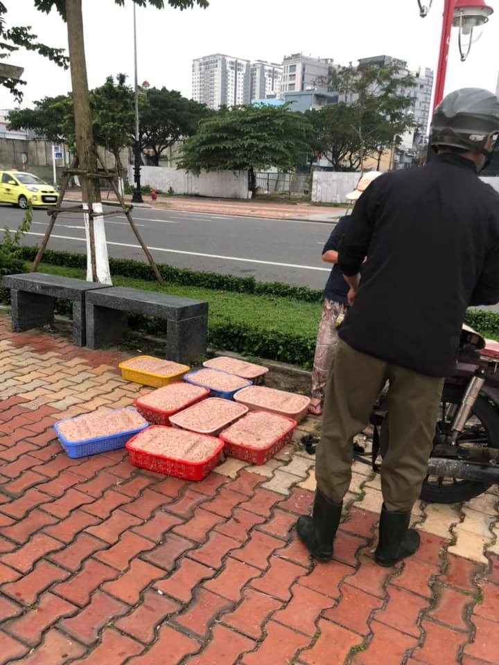 Vào mùa ruốc biển, ngư dân Đà Nẵng phấn khởi vì giá cao