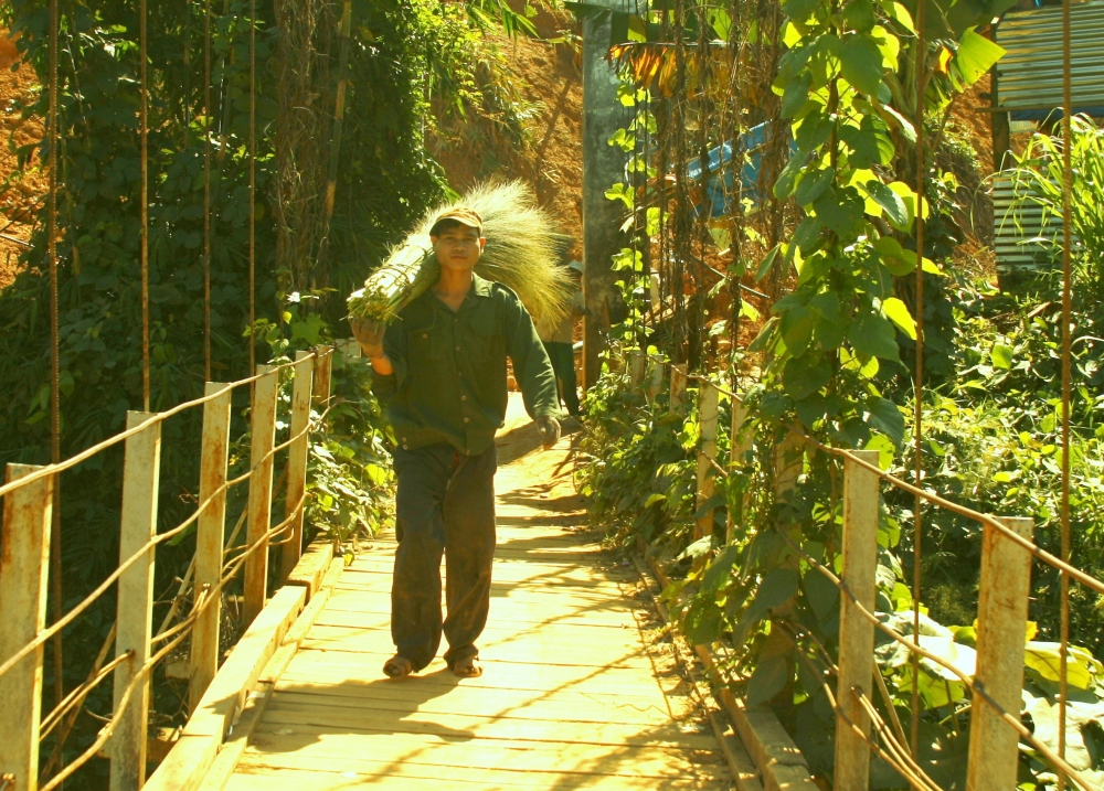 Lộc rừng đầu năm mới