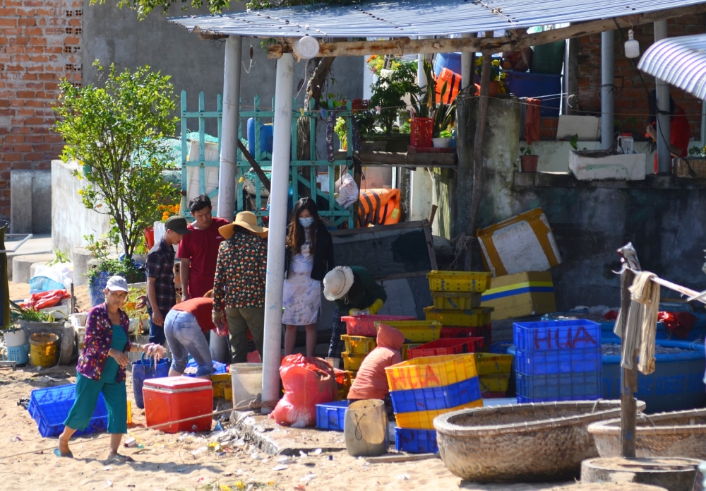 Làng biển Vũng Rô khoác áo mới