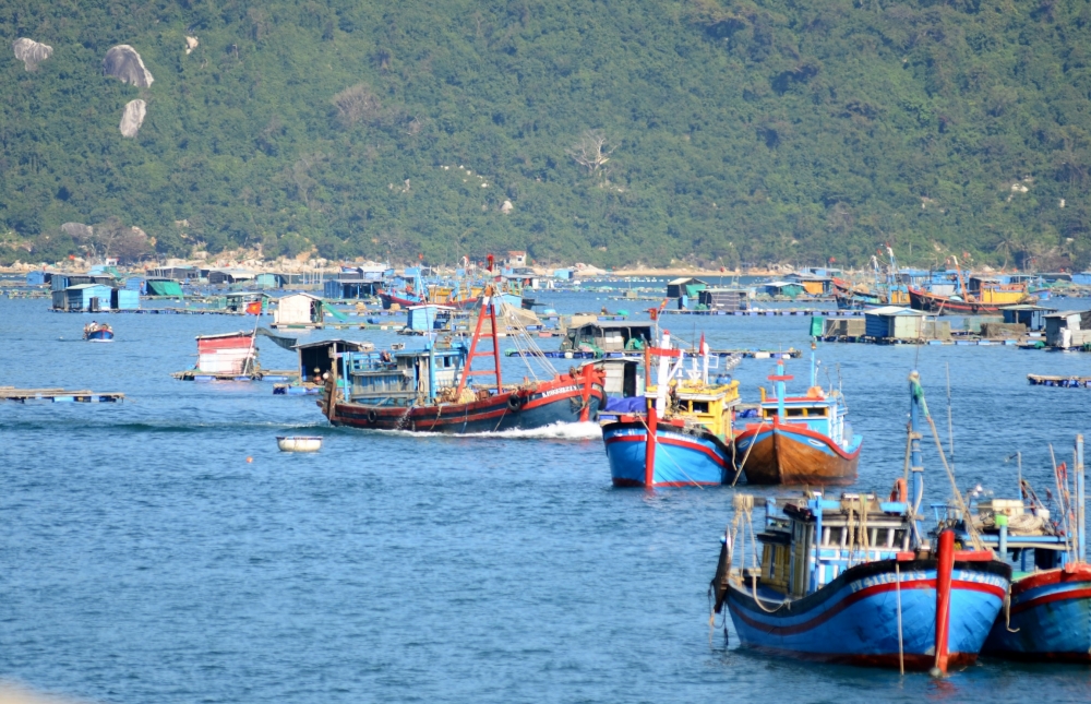 Làng biển Vũng Rô khoác áo mới