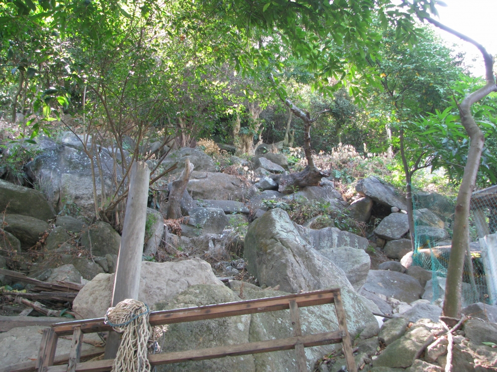 Xứ Cù Lao rào làng chống... khỉ