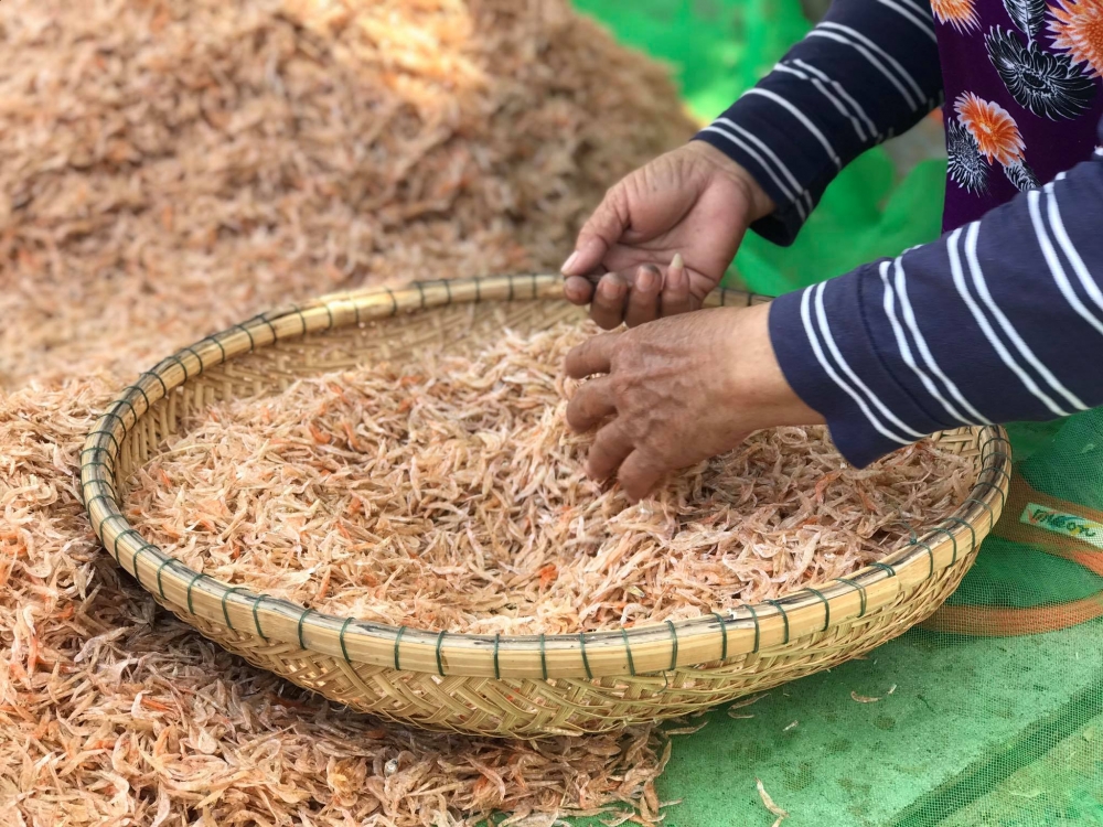 Cận cảnh quá trình phơi khô ruốc biển của ngư dân Đà Nẵng