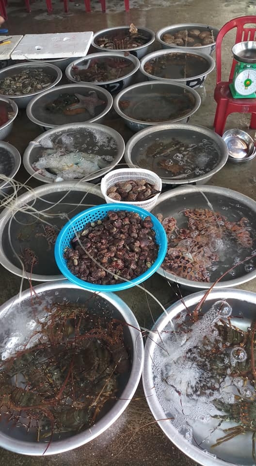 Thiên đường du lịch cù lao Chàm