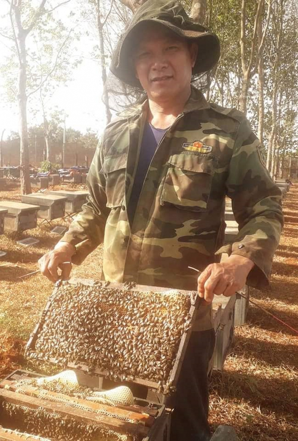Tây Nguyên rộn ràng mùa ong mật