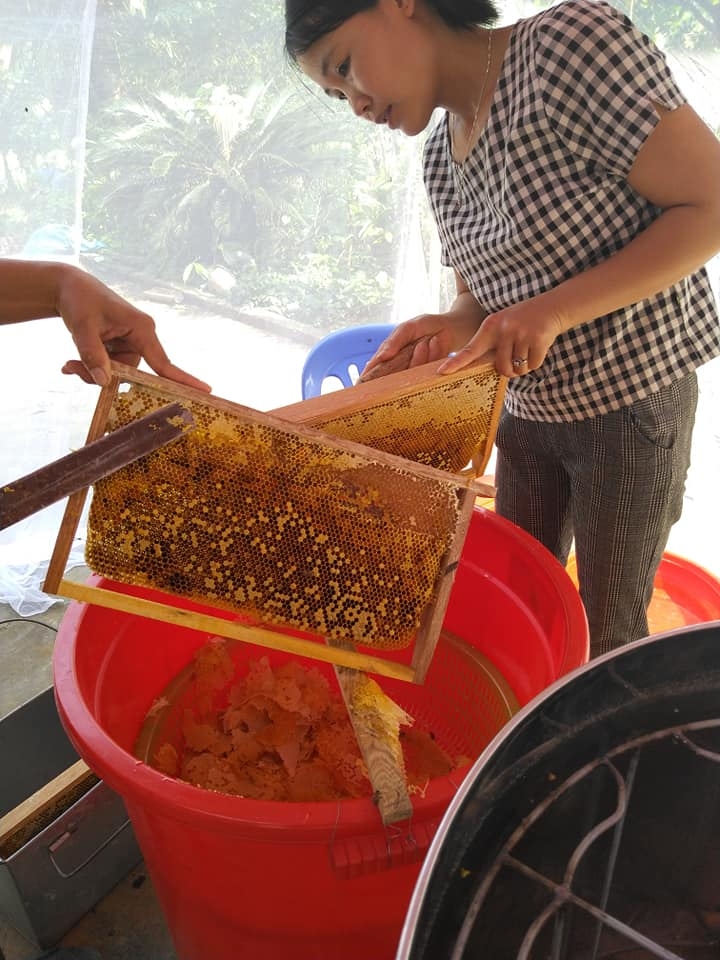 Tây Nguyên rộn ràng mùa ong mật