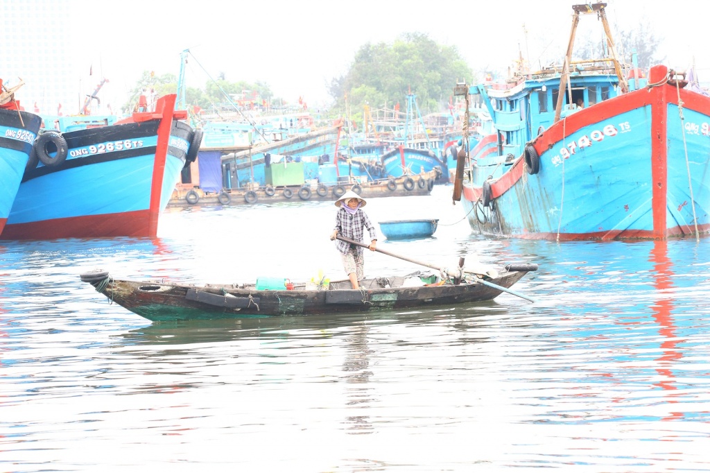 Lênh đênh phận chèo đò trên cảng cá lenh denh phan cheo do tren cang ca