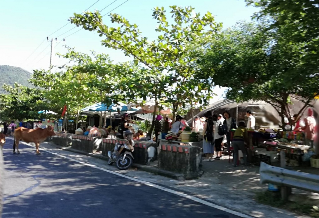 Cuộc sống hiền hòa ở lưng đèo Hải Vân cuoc song hien hoa o lung deo hai van