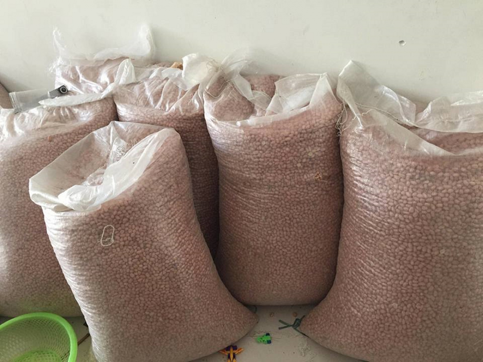 ep dau phung o mien son cuoc