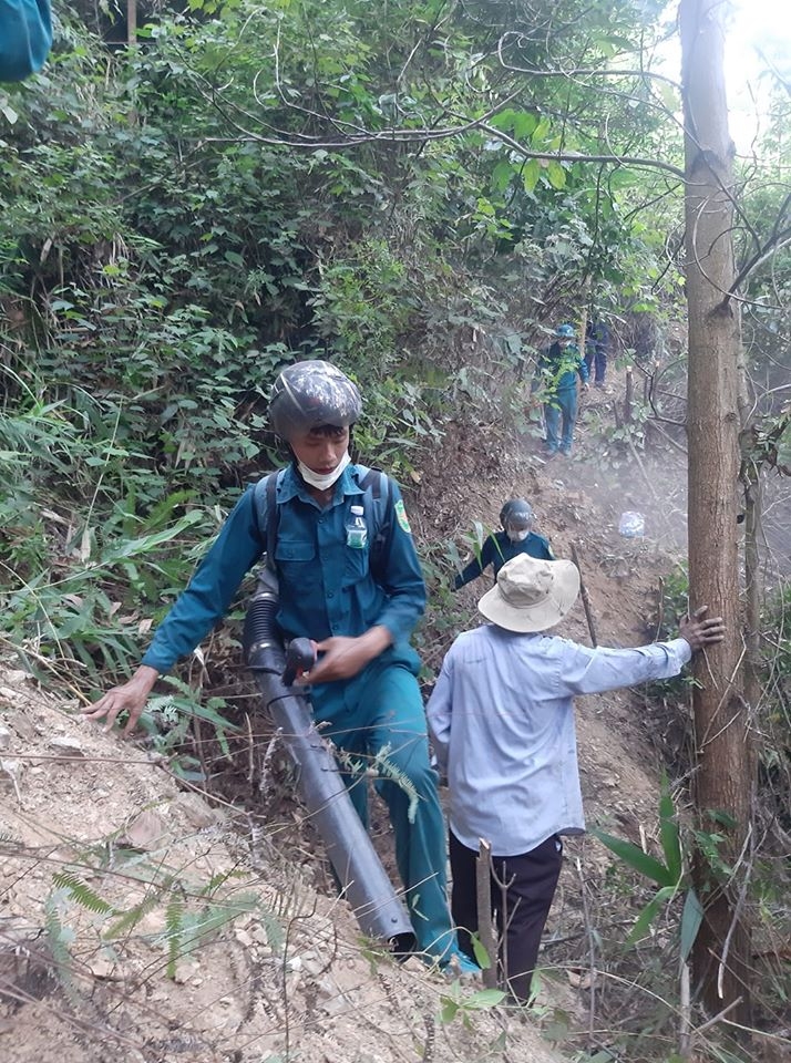 chay rung trong buoi toi o da nang