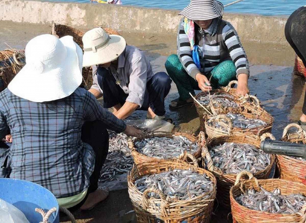 Du lịch xanh ở “đảo người già”