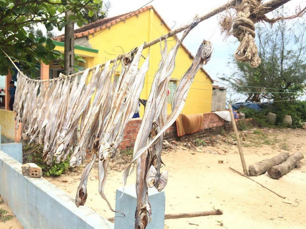 Phơi cá hố ở làng chài