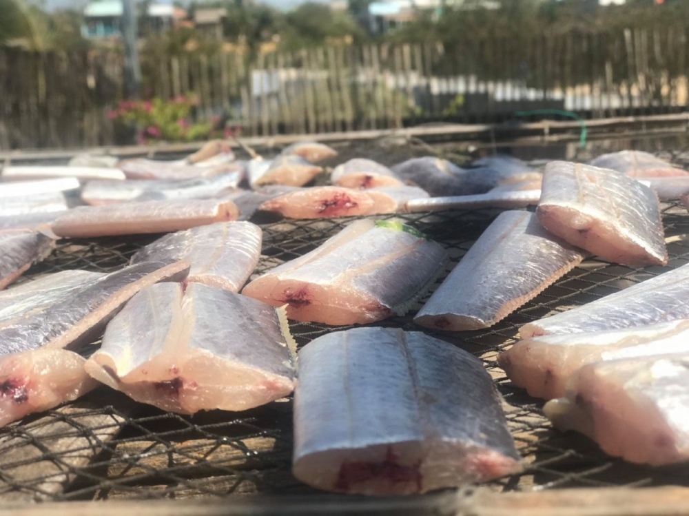 Phơi cá hố ở làng chài