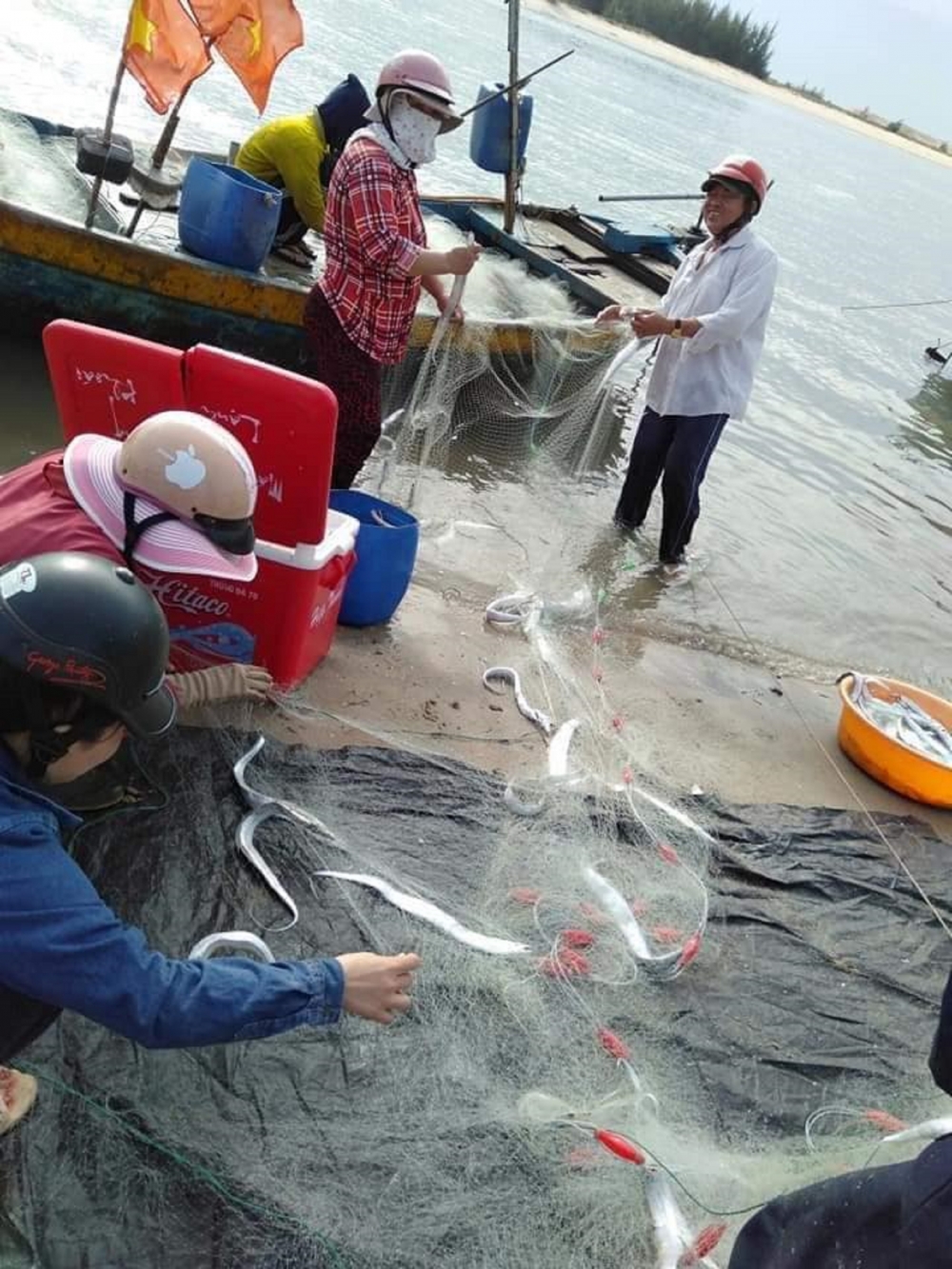 Phơi cá hố ở làng chài