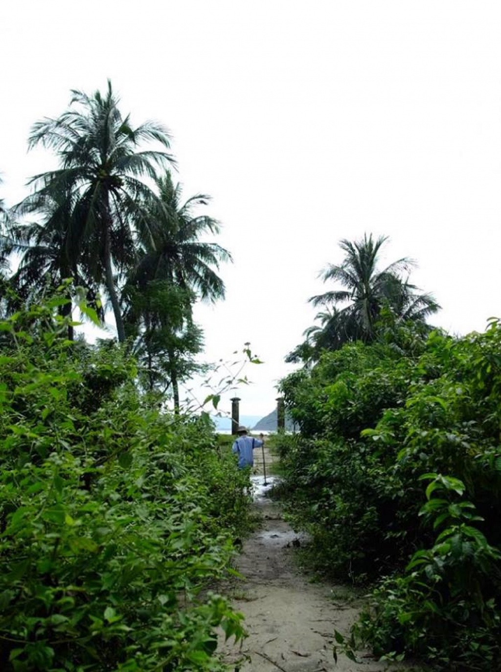 hy lac vien ngoi lang nguyen so voi nhung phan doi dac biet duoi chan deo hai van