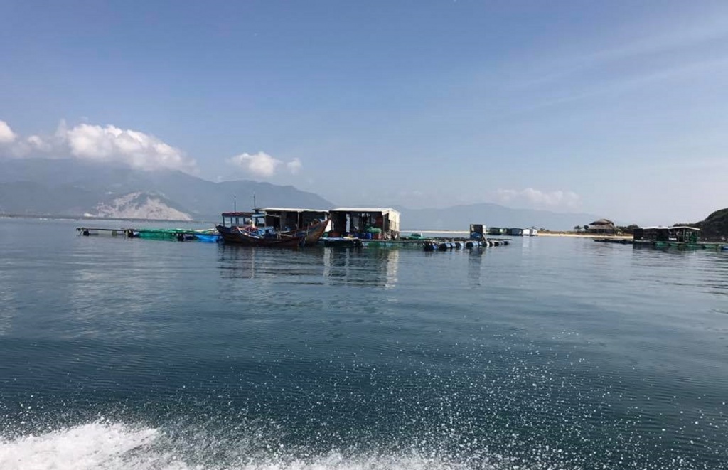 oc dao diep son noi trai gai khong dam yeu nhau ca lang khong bao gio co trom