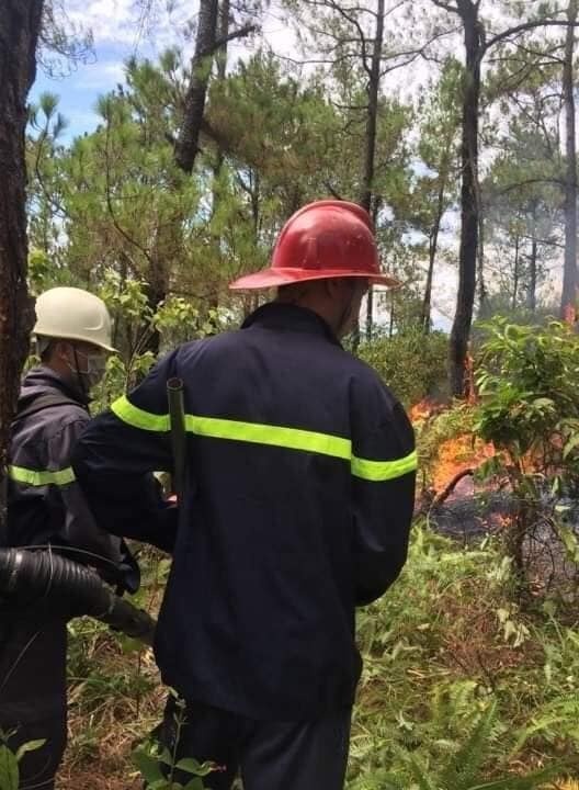 Cháy rừng ở Hà Tĩnh: Những hình ảnh nhói lòng chay rung o ha tinh nhung hinh anh it nguoi tung thay