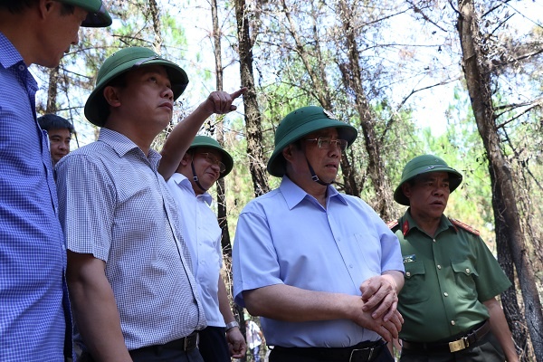 Hình ảnh xúc động về lực lượng chữa cháy rừng tại Hà Tĩnh nhung hinh anh cam dong ve cac luc luong chua chay rung tai ha tinh