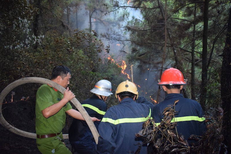 Hình ảnh xúc động về lực lượng chữa cháy rừng tại Hà Tĩnh nhung hinh anh cam dong ve cac luc luong chua chay rung tai ha tinh