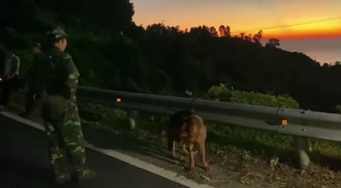 24 gio truy bat doi tuong tron trai tai nui hai van