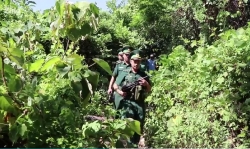 rut luc luong rut khoi nui hai van doi phuong an truy bat trieu quan su