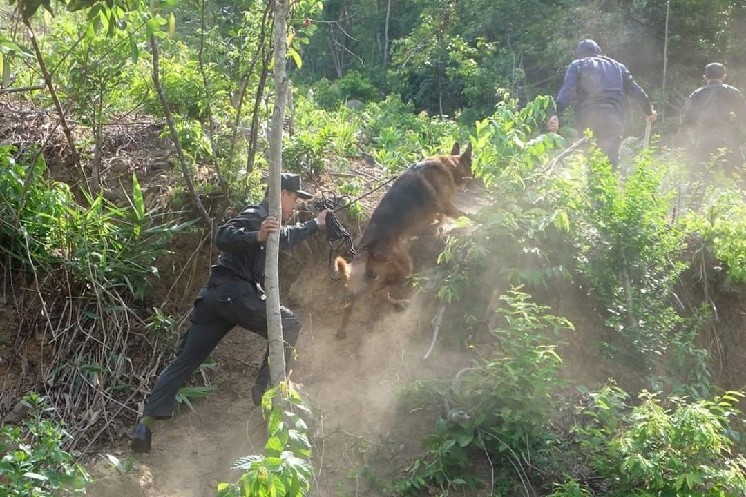 nhung dien bien moi nhat vu pham nhan tron trai tron tren nui hai van