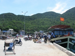 Một ngày thương nhớ với cù lao
