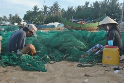 Êm đềm cuộc sống nơi làng chài Bảo Ninh
