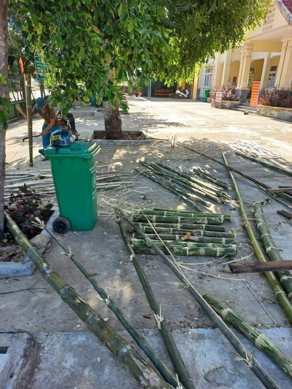 Người dân vùng núi Ba Tơ đốn tre làm giường tặng khu cách ly