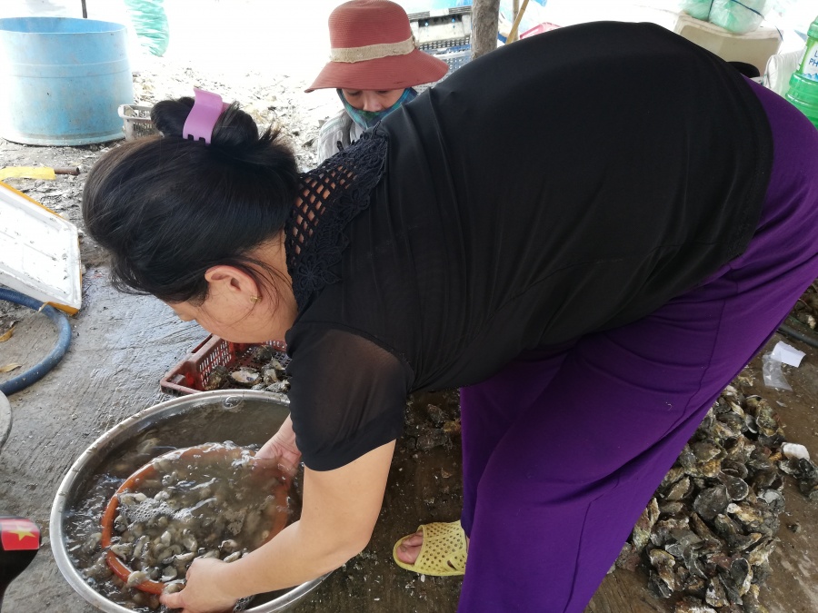 tha lop xe o to nuoi hau o lang co moi ngay ban hang chuc tan ra thi truong