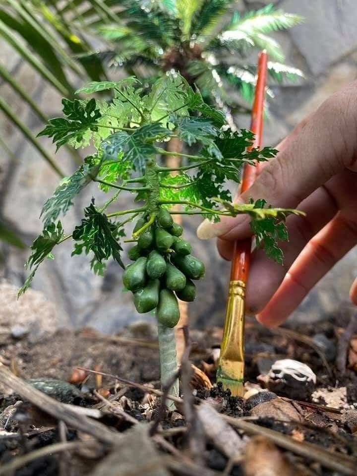 Biệt tài dựng cây cảnh mini của chàng phụ hồ quê Quảng Ngãi