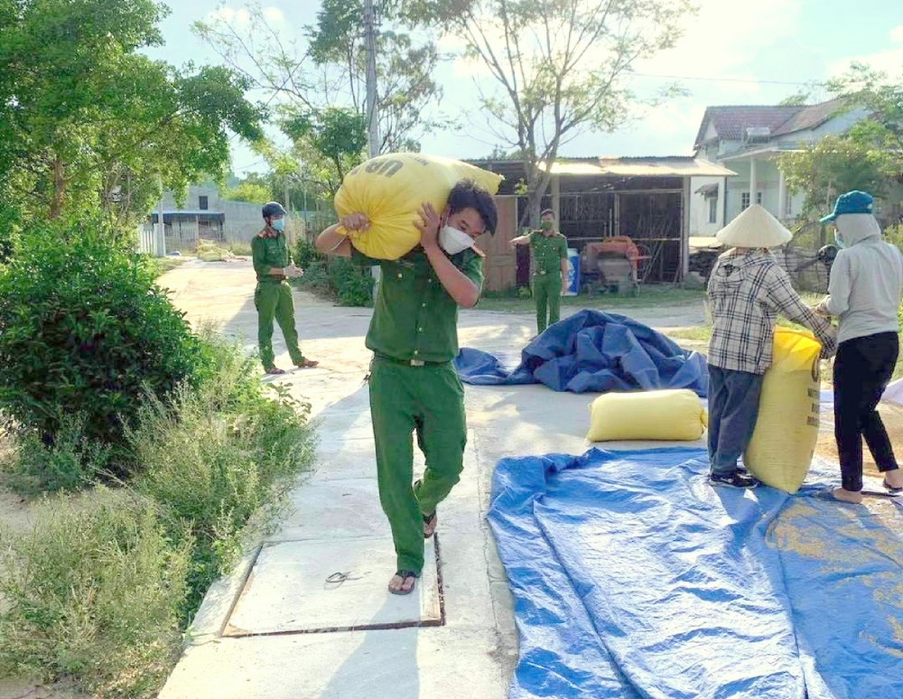 Công an Đà Nẵng giúp dân thu hoạch lúa