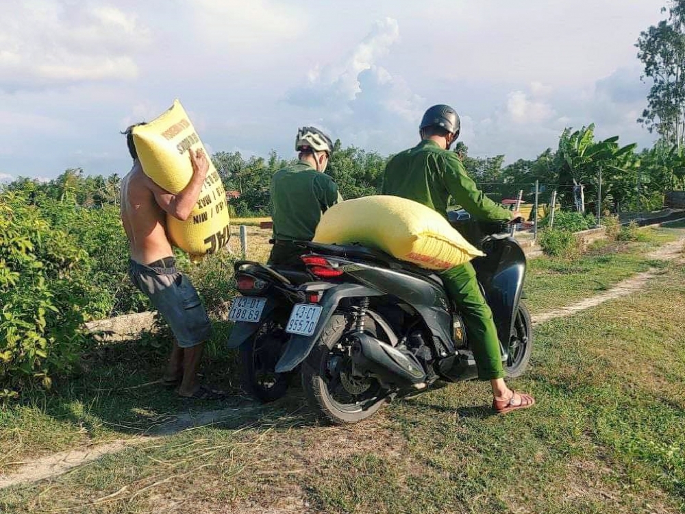 Công an Đà Nẵng giúp dân thu hoạch lúa