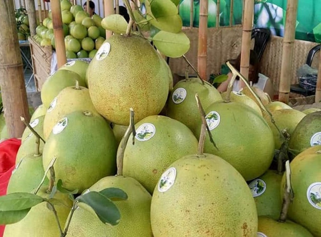 Điều gì khiến Thanh trà dần trở thành biểu tượng của cố đô Huế?